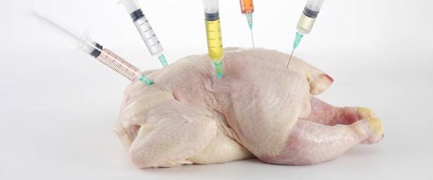 antibiyotiksiz tavuk istiyoruz.jpg